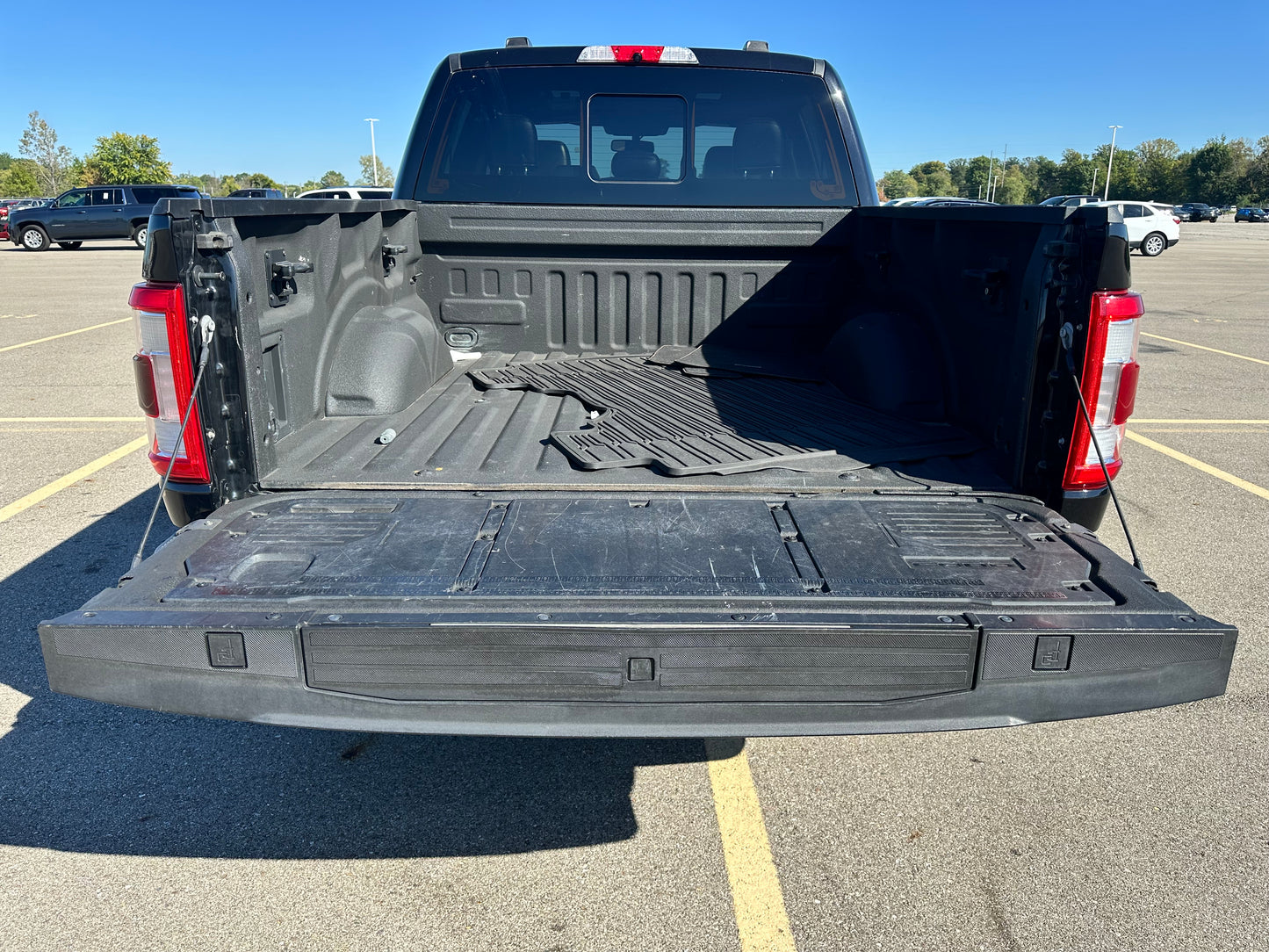 2021 Ford F-150 Platinum