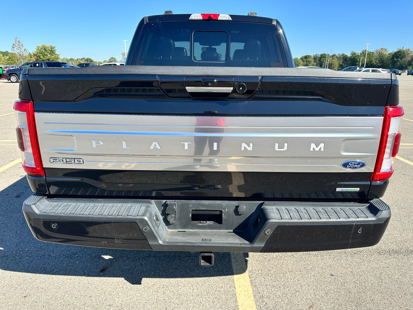 2021 Ford F-150 Platinum